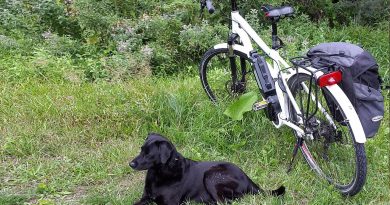 transformer son vélo en vélo électrique