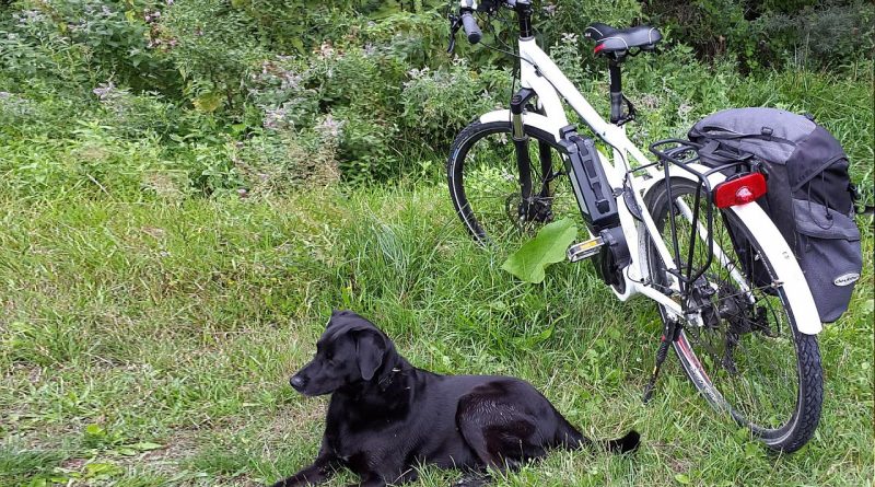 transformer son vélo en vélo électrique