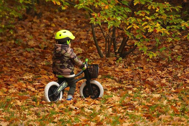 draisienne dans les bois